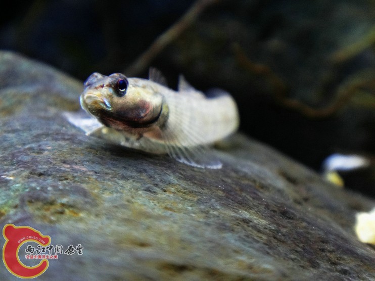 DSC07260.JPG