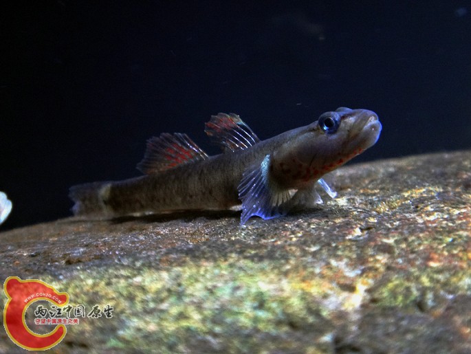 DSC07328.JPG