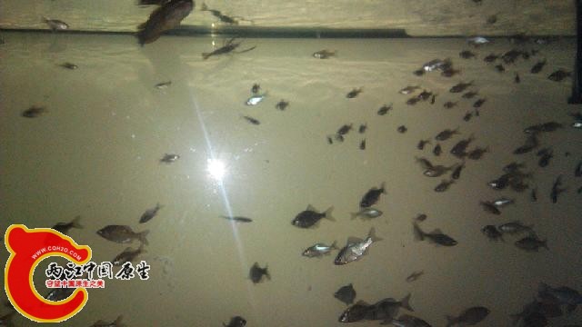 IMG_20141026_202103.jpg