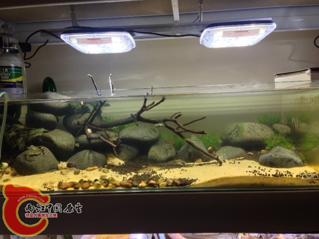 照片.JPG