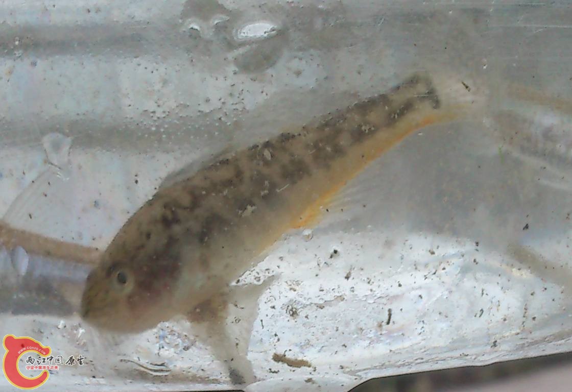 DSC_0073_副本.jpg