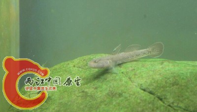 QQ截图20141101122204.jpg