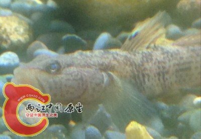 QQ截图20141101122145.jpg