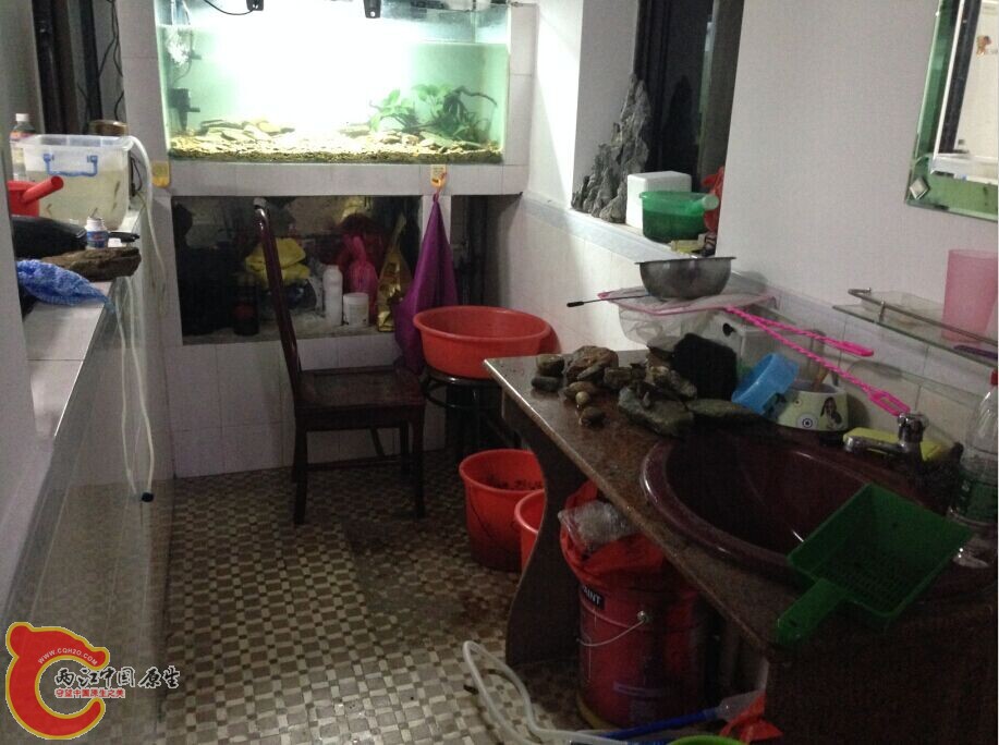 QQ图片20141101135542.jpg