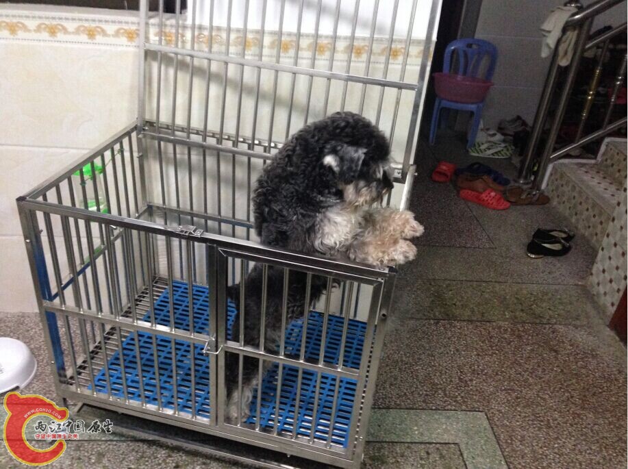 QQ图片20141101135537.jpg