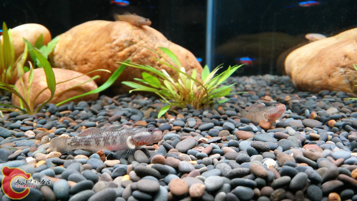 IMG20141101172015_副本.jpg
