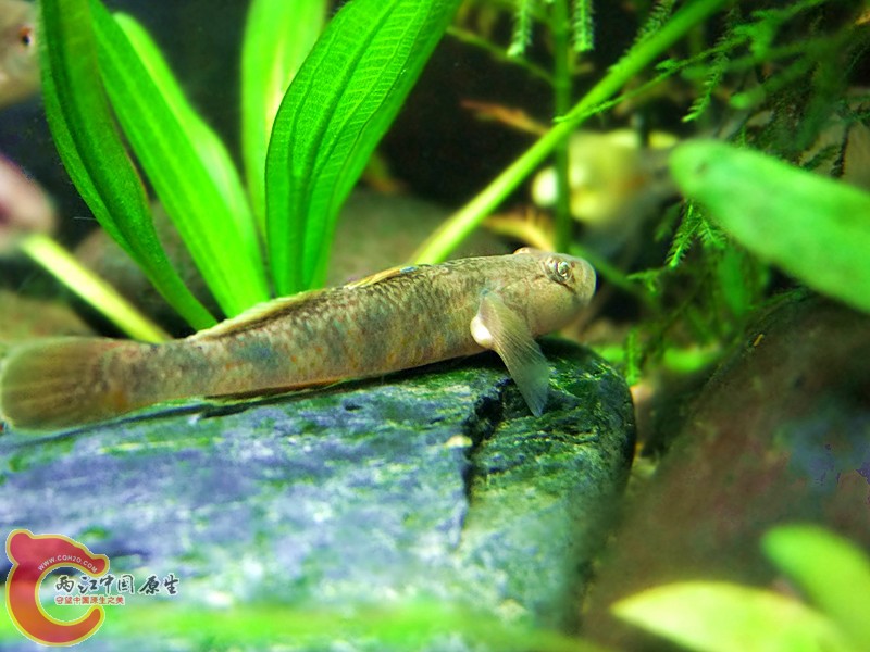 DSCF4049.JPG