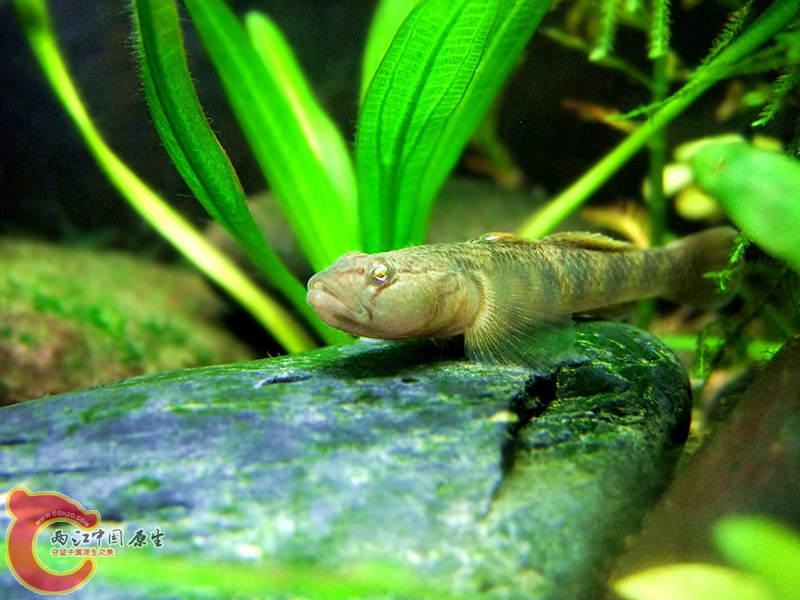 DSCF4052.JPG