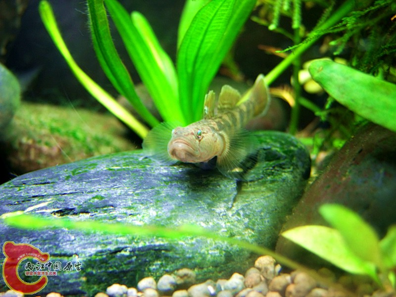 DSCF4053.JPG