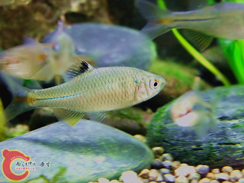 DSCF4086.JPG