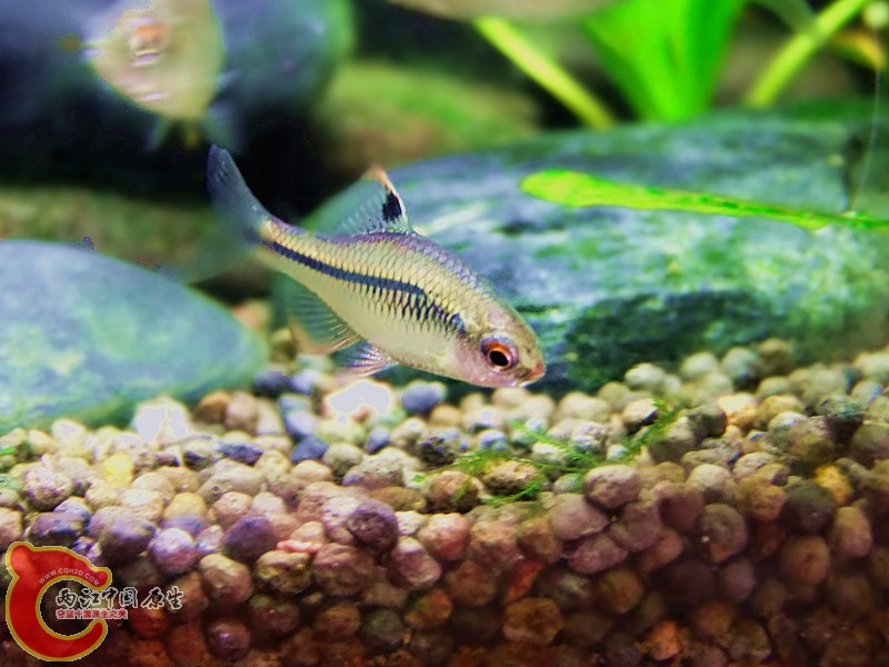 DSCF4092.JPG