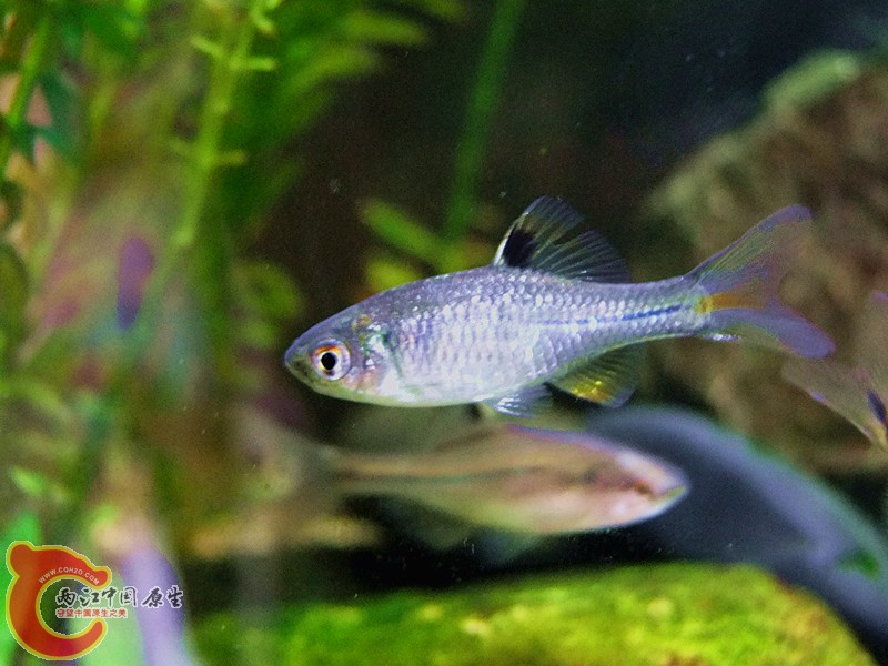 DSCF4114.JPG