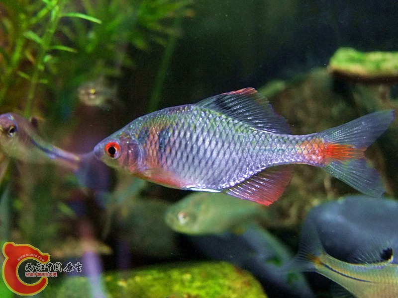 DSCF4121.JPG