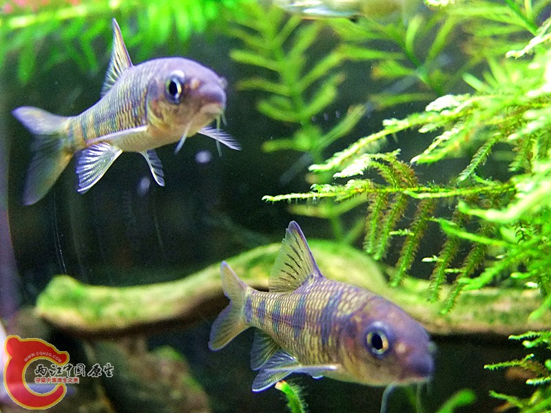 DSCF4128.JPG