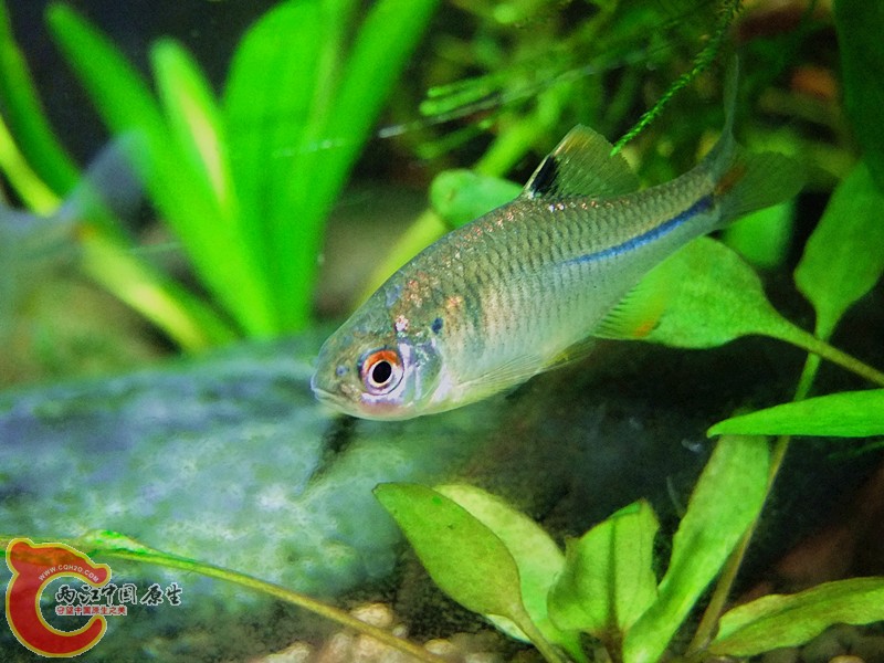 DSCF4156.JPG