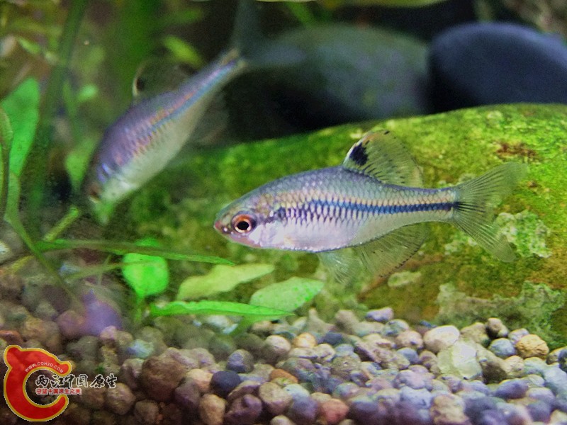 DSCF4161.JPG