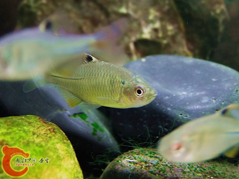 DSCF4165.JPG
