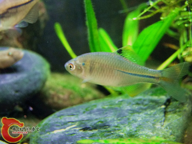 DSCF4173.JPG