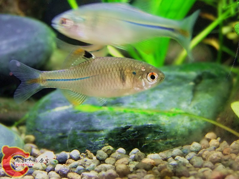 DSCF4177.JPG