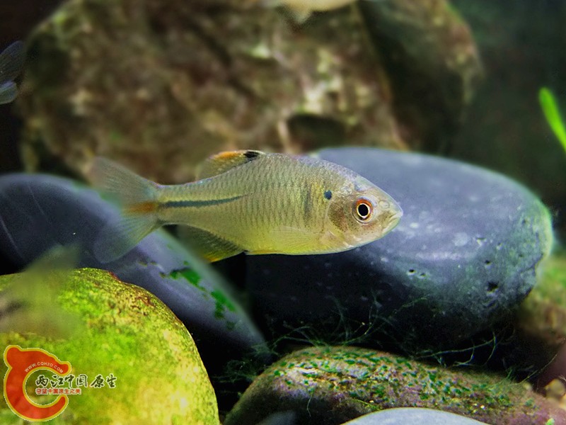DSCF4188.JPG
