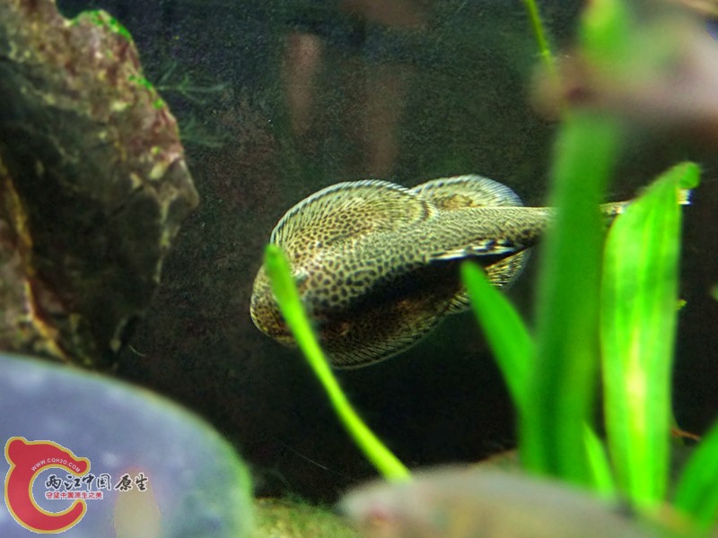 DSCF4192.JPG