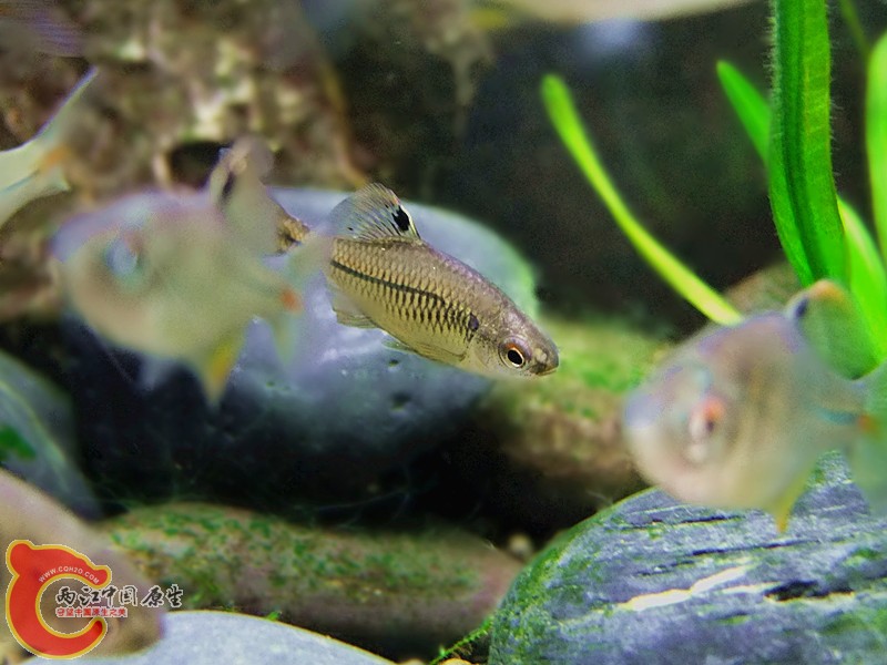 DSCF4207.JPG