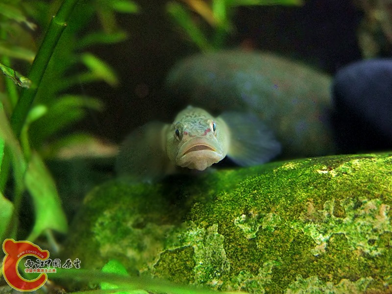 DSCF4214.JPG