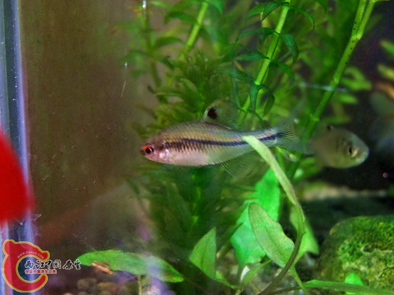 DSCF4223.JPG