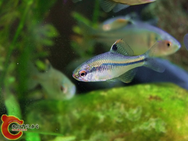 DSCF4221.JPG