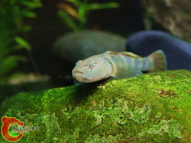 DSCF4245.JPG