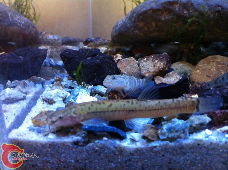 QQ图片20141105012132.jpg