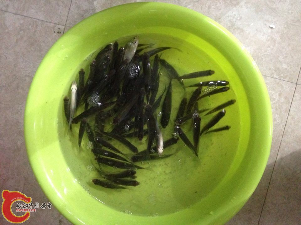QQ图片20141109212223.jpg