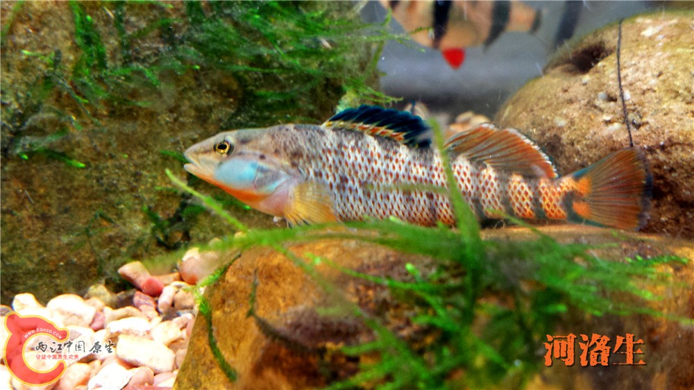 20140415_230402.jpg