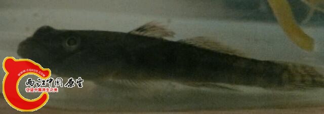IMG_20141110_235709.jpg