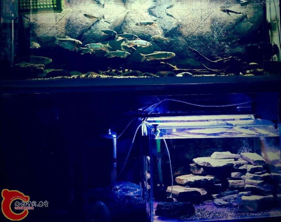 QQ图片20141112220706.jpg