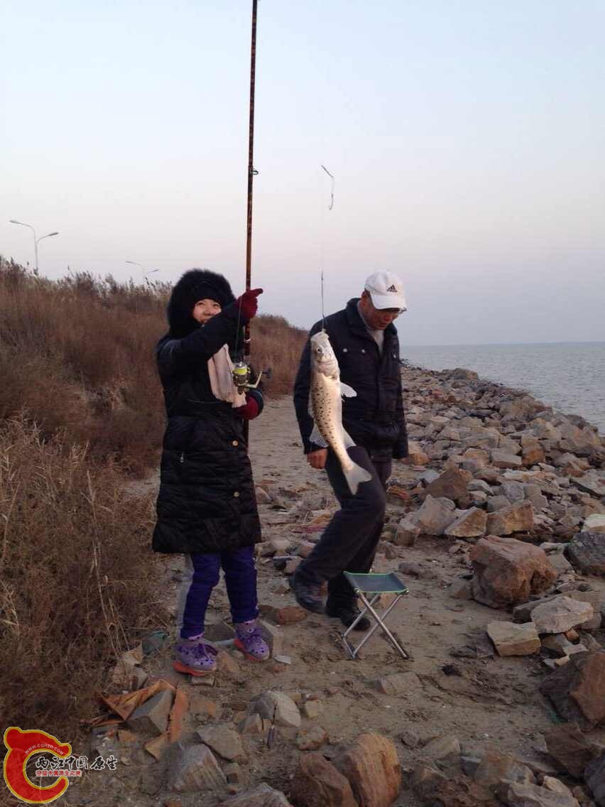 QQ图片20141112220720.jpg