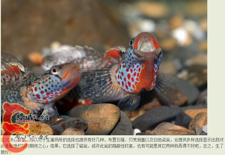 QQ图片20141113120317.jpg