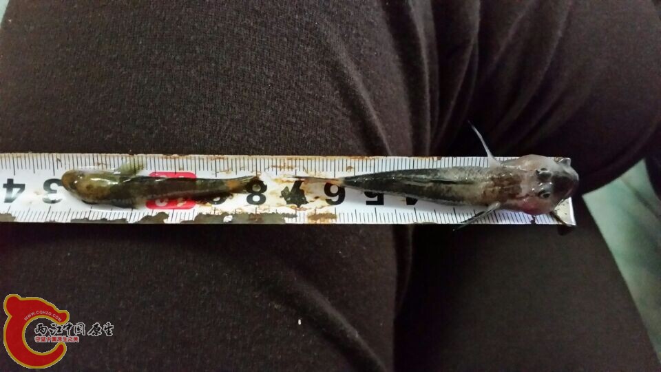 QQ图片20141127185110.jpg