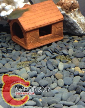 QQ截图20141130230132.jpg