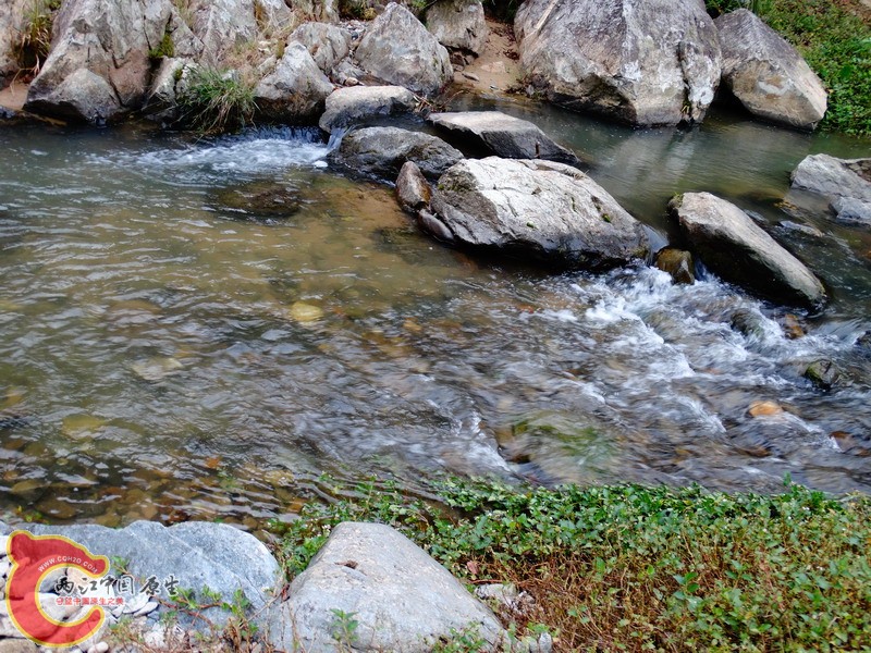 DSC01415.jpg