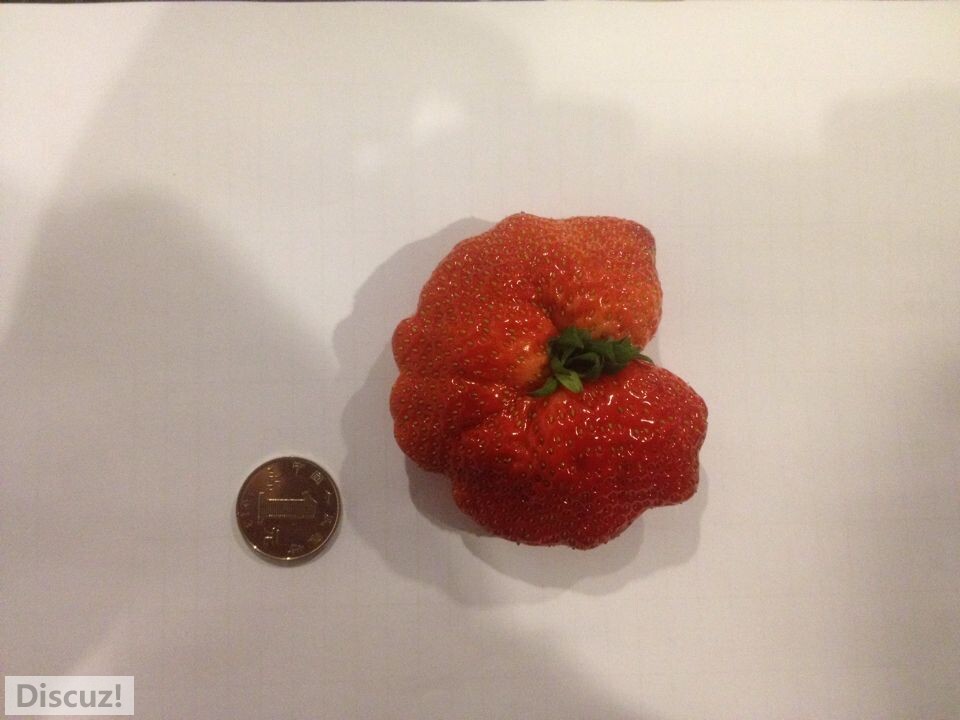 QQ图片20141209101721.jpg