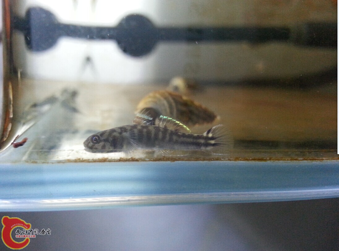 QQ图片20141215134045.jpg