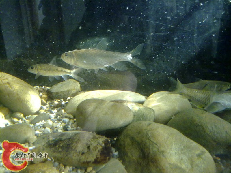 201412033623.jpg