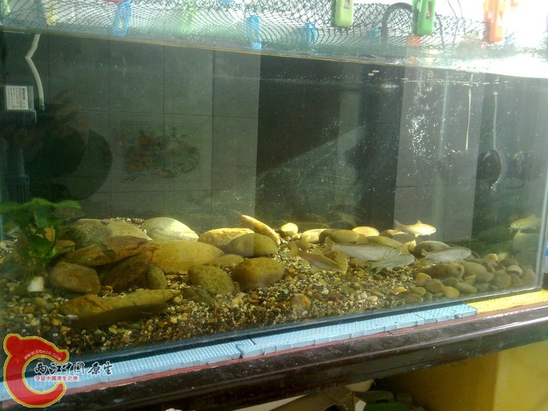 201412033604.jpg