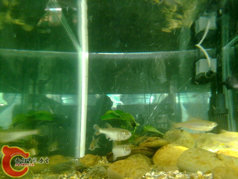 201412033610.jpg