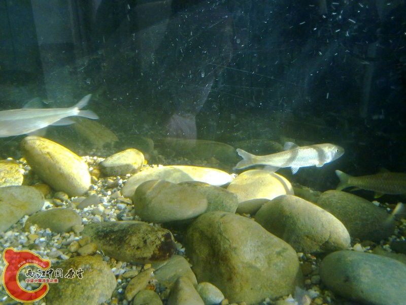 201412033611.jpg