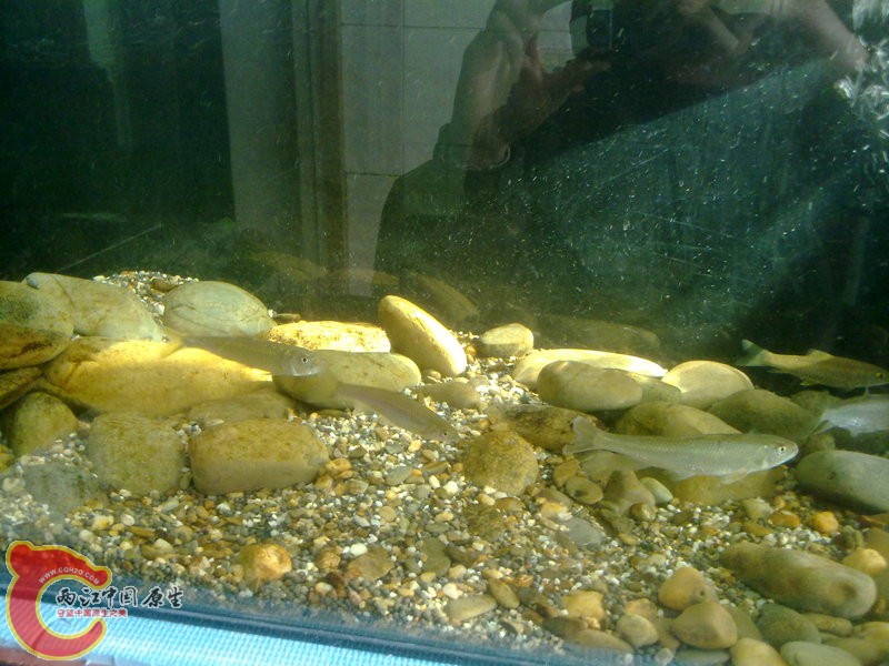 201412033615.jpg