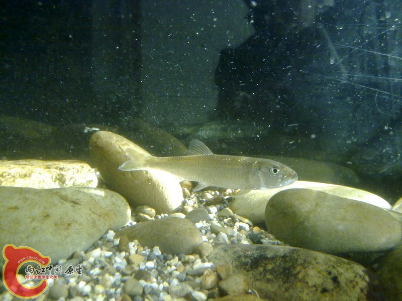 201412033619.jpg