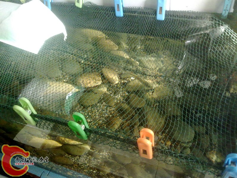 201412033620.jpg