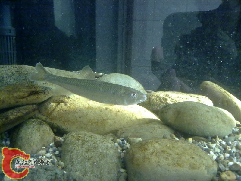 201412033621.jpg